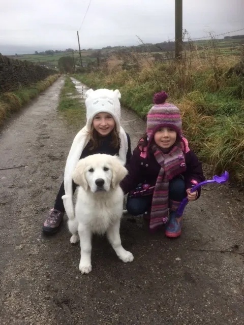 Sophie, of Sophie Seddon's PRs children Ellie and Gracie with their golden retriever Maisie, wrapped up for winter on a dog walk.